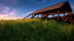 1600x1200 theshelter