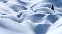 1920x1080 get snowblind