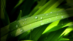 1920x1200 zixpkcom 123