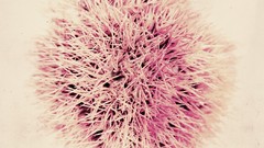 2008 metalcore album covers hardcore music emarosa