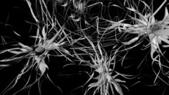 3D view abstract digital