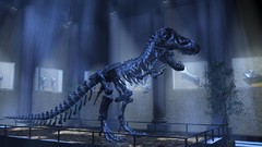 3D view Dinosaurs Museum