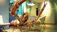 3D view FTW Lobsters