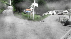 3D view natural design