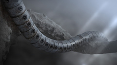 3D view tentacles branches