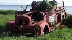 Abandoned trucks nature fire