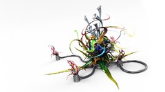 Abstract adaptation lines