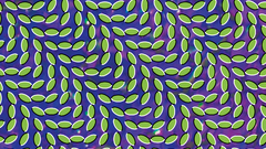 Abstract Animal Collective