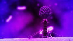Abstract bacteriophage