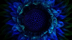 Abstract blue Flowers digital