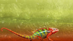 Abstract chameleons Reptiles