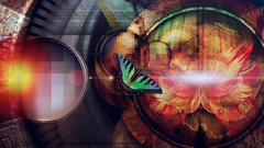 Abstract Derek Prospero Butterflies