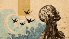 Abstract design waves Birds