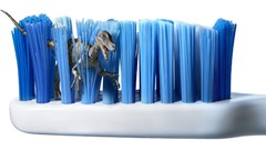 Abstract Dinosaurs funny toothbrush