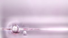 Abstract Evolution computer graphics