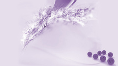 Abstract feather balls wide