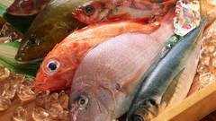 Abstract fish culinary photography