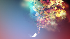 Abstract Flowers rainbows