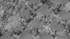 Abstract Got some oc