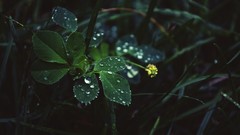 Abstract in the rain