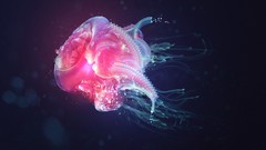 Abstract jellyfish underwater motion justin maller