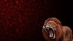 Abstract Lions roar