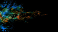 Abstract multicolor feathers