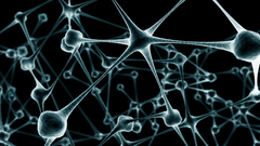 Abstract neurons