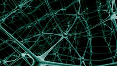 Abstract neurons