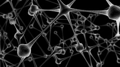 Abstract neurons grayscale