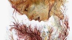 Abstract paintings Discovery traditional art scans