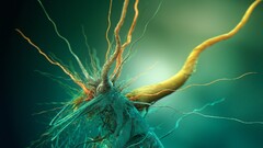 abstract render shapes artwork digital art cgi Green biology