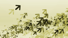 Abstract swarm flock