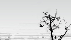 Abstract Trees Birds silhouettes