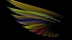 Abstract wings black dark