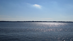 Across Harbor nature