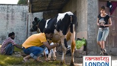 Actors bollywood Akshay Kumar