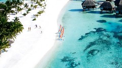 Advertisement artwork fred