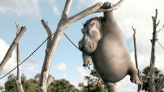 Advertisement artwork Viral