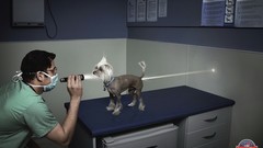 Advertisement artwork Viral