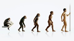 Advertisement Evolution artwork fred