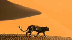 Africa Namibia Parks passage deserts