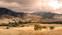 Africans cape nature