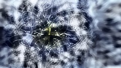 Air Celtics ornaments