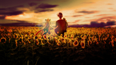 Air Sunflowers sunset Anime