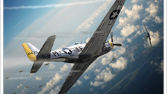 Aircraft artwork planes P-51