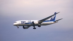 Aircraft aviation Boeing 787 Dreamliner