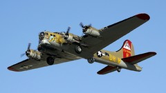 Aircraft bomber Warbird B-17