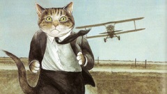 Aircraft cats suit funny