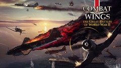 Aircraft corsair Combat Wings